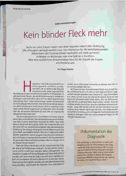 Vorschauseite 1: Geburtsverletzungen Kein blinder Fleck mehr