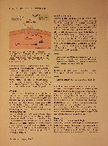 Vorschauseite 3: Die Zukunft der Schmerzmedizin