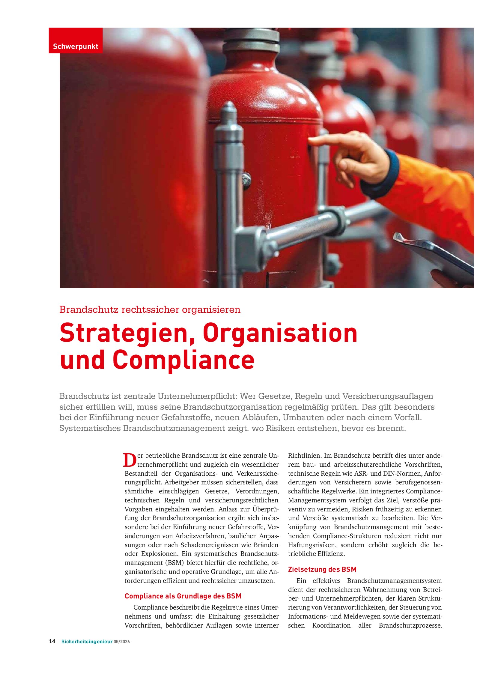 Vorschauseite 1: Brandschutz rechtssicher organisieren. Strategien, Organisation und Compliance
