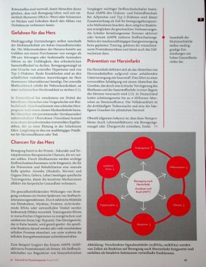 Vorschauseite 4: In Bewegung bleiben Sekundärund Tertiärprävention bei Multimorbidität