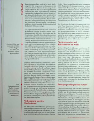 Vorschauseite 5: In Bewegung bleiben Sekundärund Tertiärprävention bei Multimorbidität