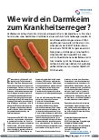Vorschauseite 1: Wie wird ein Darmkeim zum Krankheitserreger?