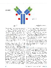 Vorschauseite 3: Antikörper im Wandel: Ein Update über aktuelle Therapeutika