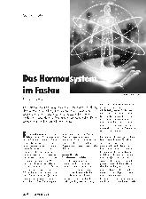 Vorschauseite 1: Das Hormonsystem im Fasten