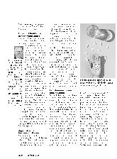 Vorschauseite 3: Das Hormonsystem im Fasten