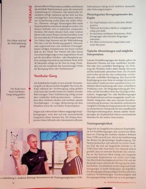 Vorschauseite 3: Gangbild als Neuro-Fingerabdruck. Eine neurozentrierte Ganganalyse