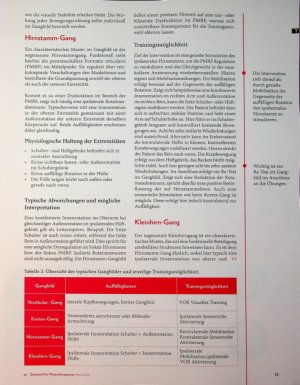 Vorschauseite 4: Gangbild als Neuro-Fingerabdruck. Eine neurozentrierte Ganganalyse