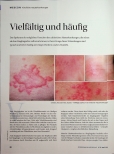 Vorschauseite 1: Vielfältig und häufig