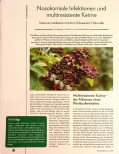 Vorschauseite 1: Nosokomiale Infektionen und multiresistente Keime: Immunmodulation mit dem Schwarzen Holunder