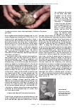 Vorschauseite 4: Gemüsezucht mit der Kraft der Meditation