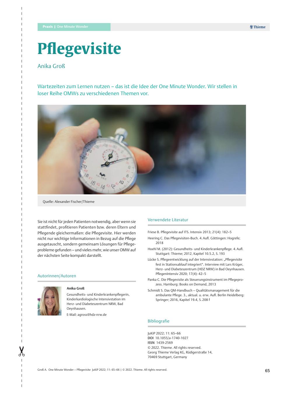 Vorschauseite 1: Pflegevisite