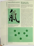 Vorschauseite 3: Die Lunge - Rhythmusgeber, Controller, Qiund Blutbeweger. Atmung und Lunge in der TCM