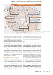 Vorschauseite 4: Das sektorenverbindende (Gesamt-)Versorgungskonzept: Ein Modell für eine stabile nahraumbezogene Versorgungsstruktur.