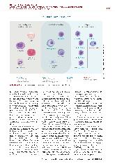 Vorschauseite 3: Zellbasierte Biomarker aus der Blutbildanalyse in der frühzeitigen Diagnostik der Sepsis
