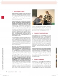 Vorschauseite 2: Ein wildes Abenteuer - Viele einzigartige wilde Kerle