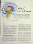 Vorschauseite 1: Schlaf und Schmerz