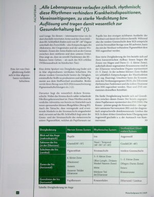 Vorschauseite 2: Die Brille der Dreigliederung Augendiagnostik mit neuen Impulsen