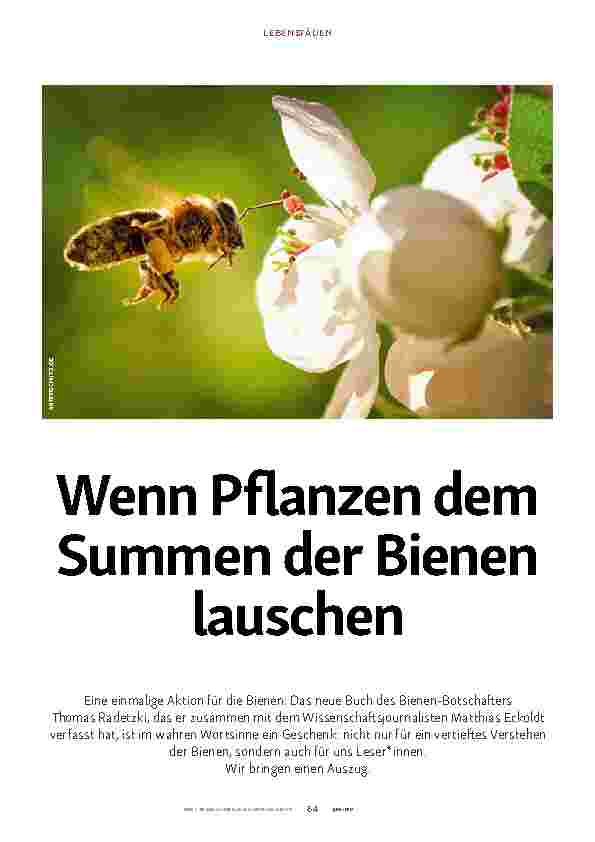 Vorschauseite 1: Wenn Pflanzen dem Summen der Bienen lauschen
