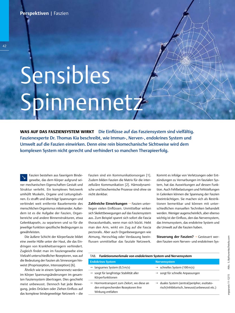 Vorschauseite 1: Sensibles Spinnennetz ? Was auf das Fasziensystem Wirkt