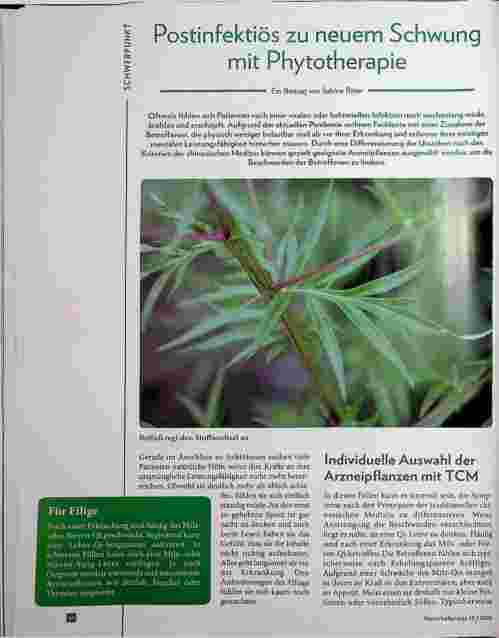 Vorschauseite 1: Postinfektiös zu neuem Schwung mit Phytotherapie