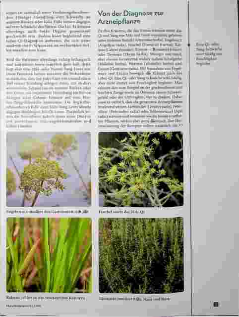 Vorschauseite 2: Postinfektiös zu neuem Schwung mit Phytotherapie