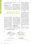 Vorschauseite 2: Nachhaltige Krankenhausplanung: Multifunktionales Bauen und Prozessoptimierung