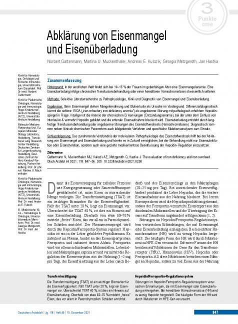 Vorschauseite 1: Abklärung von Eisenmangel und Eisenüberladung