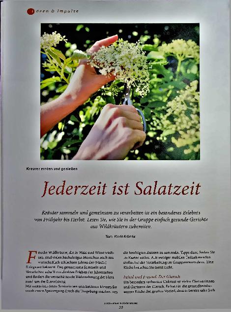 Vorschauseite 1: Jederzeit ist Salatzeit.