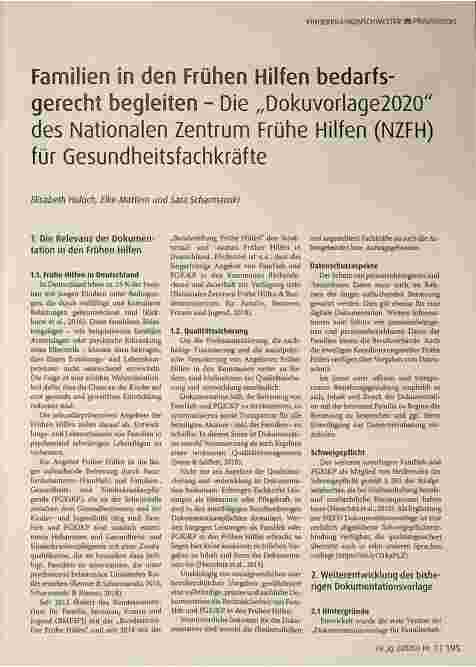 Vorschauseite 1: Familien in den Frühen Hilfen bedarfsgerecht begleiten - Die „Dokuvorlage 2020" des Nationalen Zentrums Frühe Hilfen (NZFH) für Gesundheitsfachkräfte