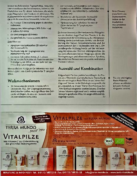 Vorschauseite 2: Immunregulation durch Mykotherapie: Auswahl und Kombination von Heilpilzen in der Onkologie