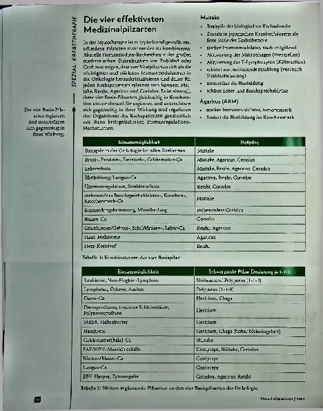 Vorschauseite 3: Immunregulation durch Mykotherapie: Auswahl und Kombination von Heilpilzen in der Onkologie