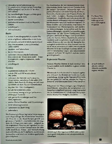 Vorschauseite 4: Immunregulation durch Mykotherapie: Auswahl und Kombination von Heilpilzen in der Onkologie