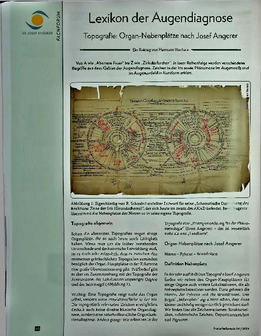 Vorschauseite 1: Lexikon der Augendiagnose Topografie: Organ-Nebenplätze nach Josef Angerer