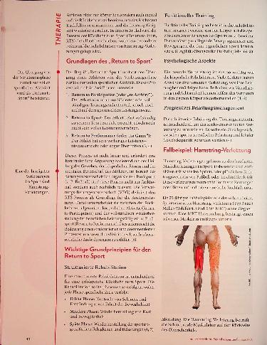 Vorschauseite 2: Wieder auf die Beine Therapie bei einer Hamstring-Verletzung