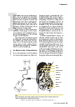 Vorschauseite 2: DIALYSEVERFAHREN DER WAHL