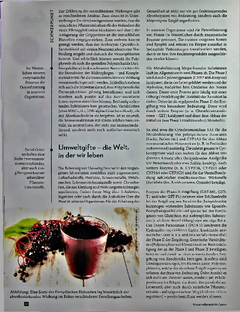 Vorschauseite 3: Schlüssel für das gesunde Altern: Immunsystem und Entgiftung