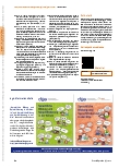 Vorschauseite 6: Fach-/Wortschatz-Lernstrategie-Training (FWLT) goes online!