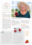 Vorschauseite 2: Erdbeerzeit – Sommerzeit!