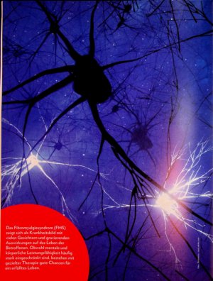 Vorschauseite 1: Synaptisches Störfeuer Rolle eines ganzheitlichen Ansatzes bei Fibromyalgie