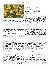 Vorschauseite 3: Vom Götterbaum zum Öko-Symbol