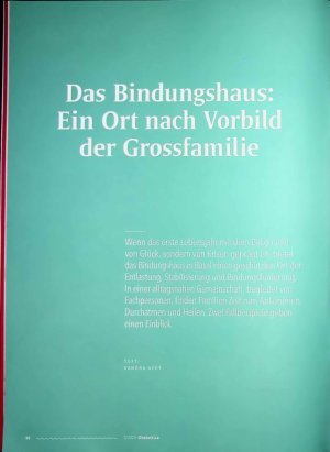 Vorschauseite 1: Das Bindungshaus: Ein Ort nach Vorbild der Grossfamilie