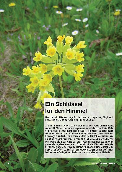 Vorschauseite 1: Ein Schlüssel für den Himmel