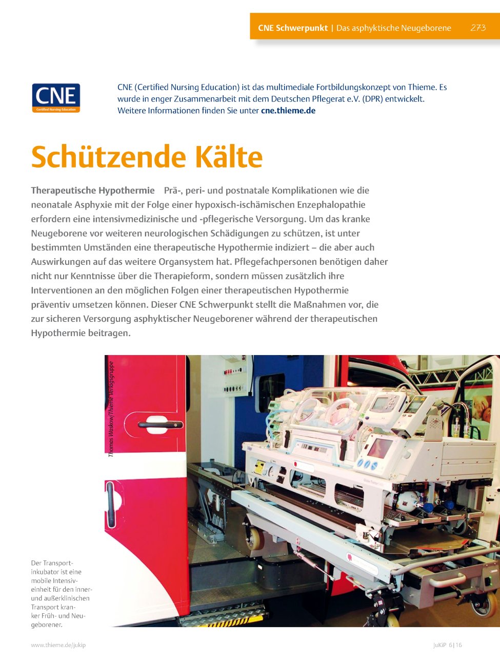 Vorschauseite 1: Schützende Kälte