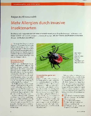 Vorschauseite 1: Folgen des Klimawandels Mehr Allergien durch invasive Insektenarten