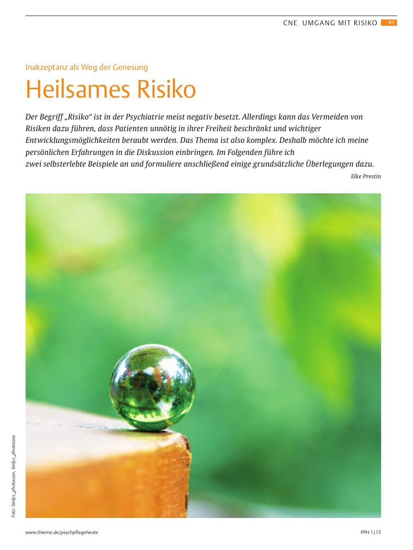 Vorschauseite 1: Heilsames Risiko