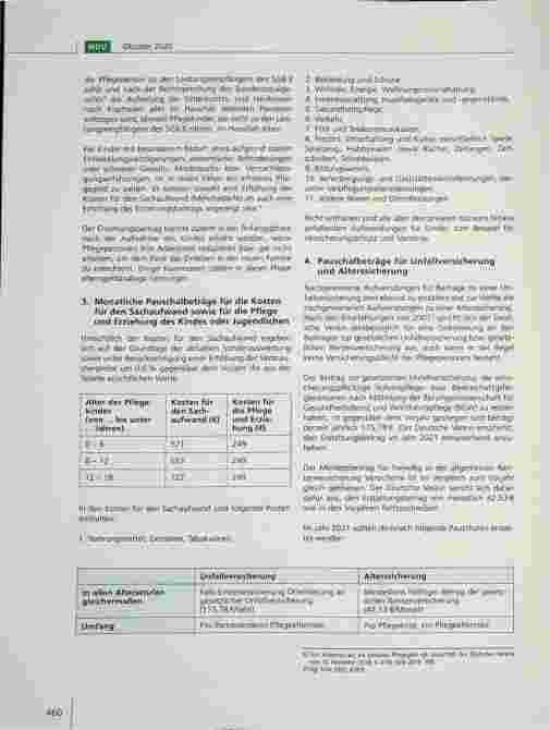 Vorschauseite 2: Empfehlungen des Deutschen Vereins zur Fortschreibung der Pauschalbeträge in der Vollzeitpflege (§§ 33, 39 SGB VIII) für das Jahr 2021*