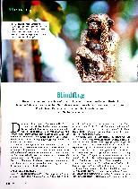 Vorschauseite 1: Blindflug
