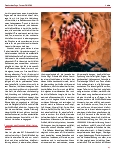 Vorschauseite 2: Die leuchtende Essenz – prānashakti