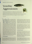 Vorschauseite 1: Vererbte Aggressionen