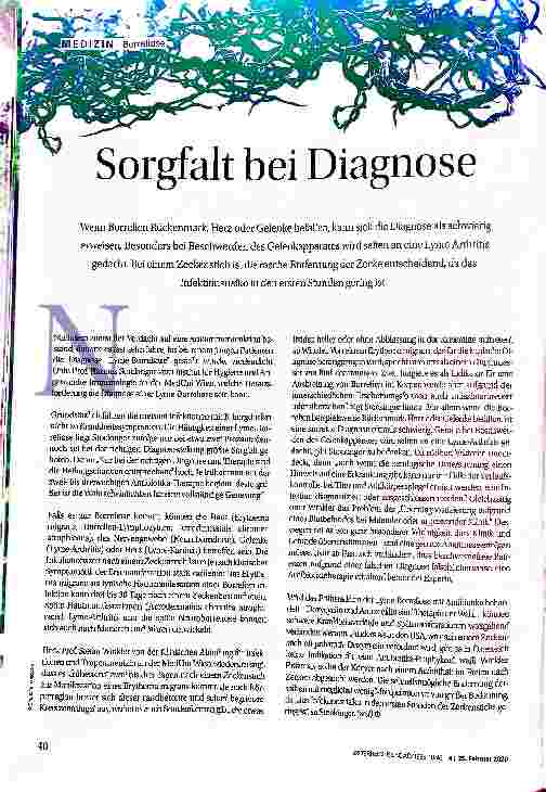Vorschauseite 1: Sorgfalt bei Diagnose